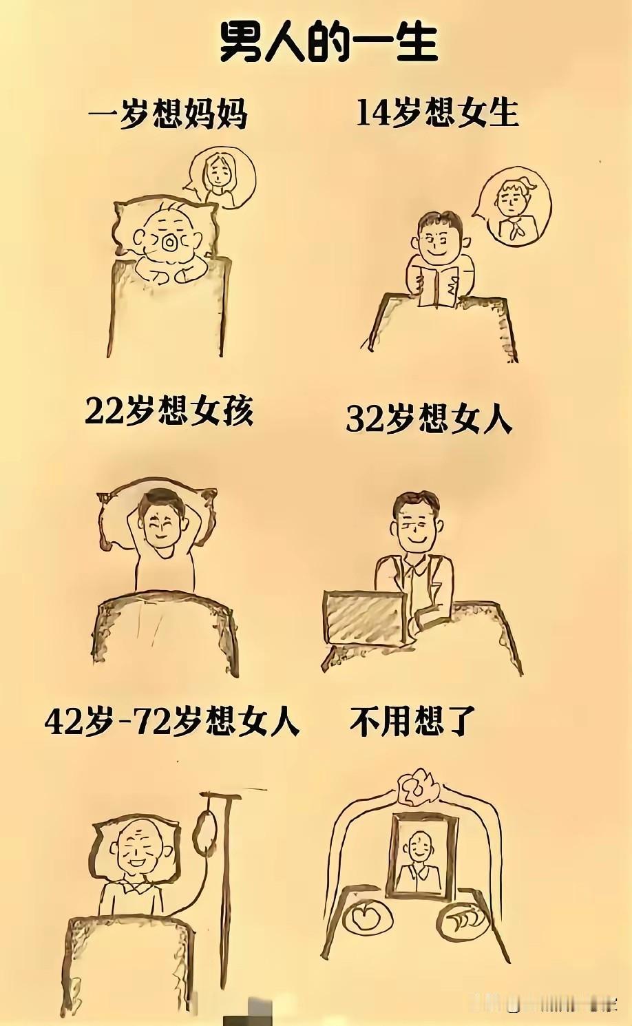 《男人的一生“心动轨迹”图鉴，看完笑到拍大腿！》一岁黏妈妈，是妈宝男的“启