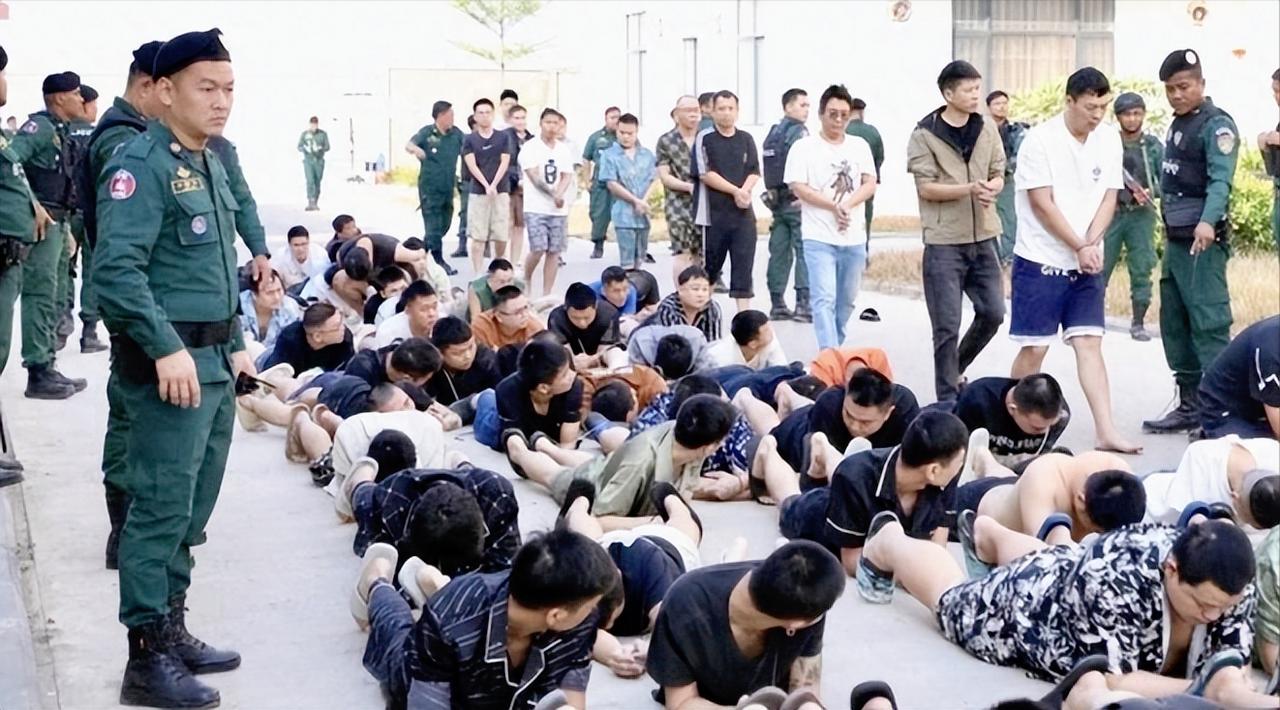 但愿柬埔寨这次是真急眼了，2月3日正式启动全国抄家底式清剿，说是不玩虚的，放话4