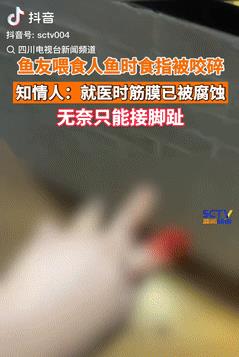 自作孽不可活！山西大同，一男子在家里养了条食人鱼，还喜欢手拿食物去喂食，结果突然