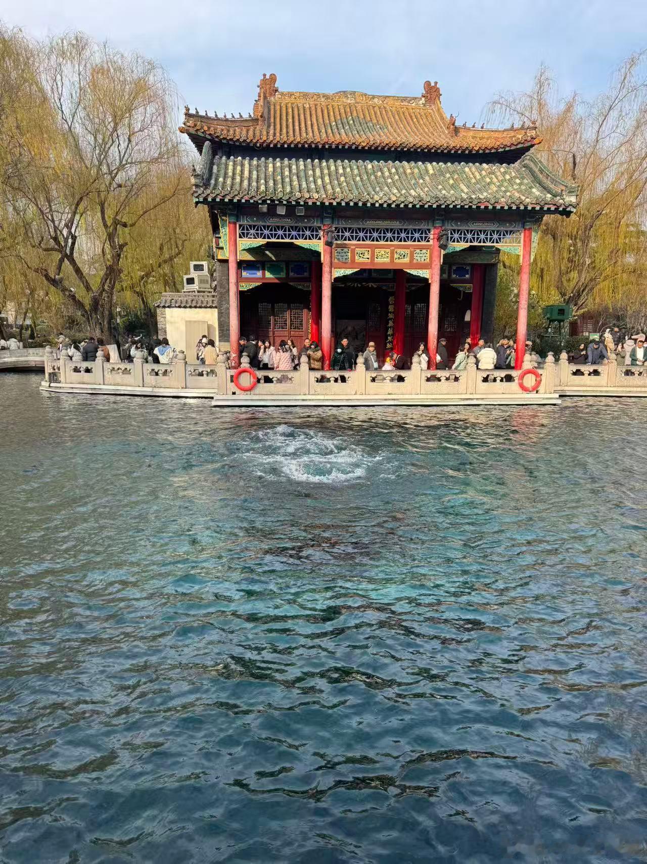 看了泉水喝了茶，买了鱼粮喂了“猪”，嗯，泉城挺好，下次再来试酸奶。【不懂就问】齐