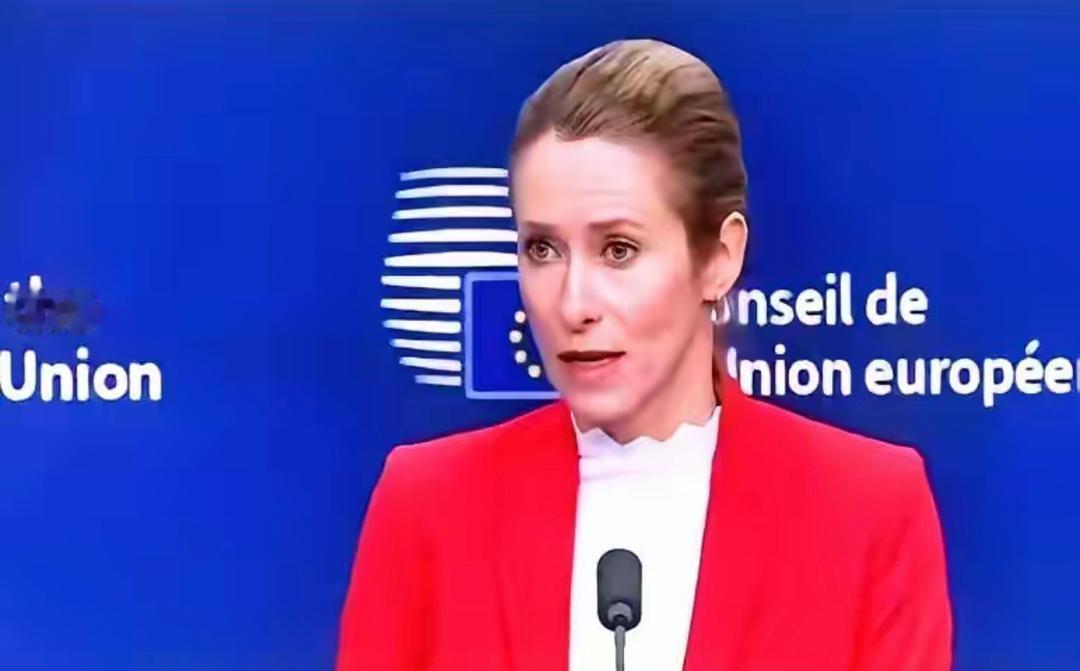 欧盟外交负责人卡拉斯一句“俄罗斯过去100年攻击了19个以上国家”的言论，让俄罗