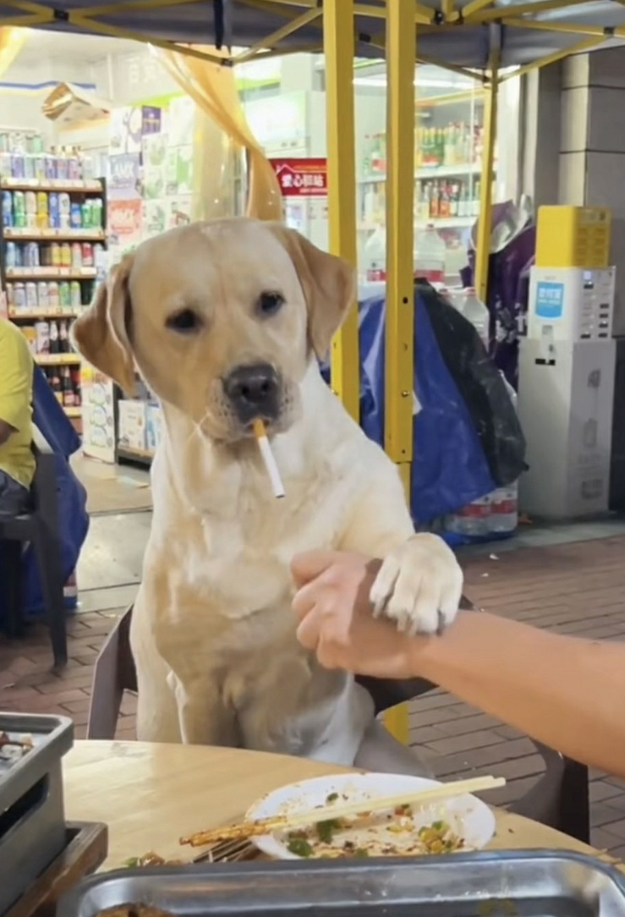 就还没喝好呢