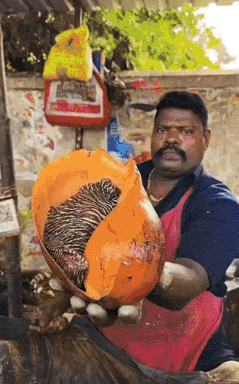 活久见，第一次看到螺内部的东西。