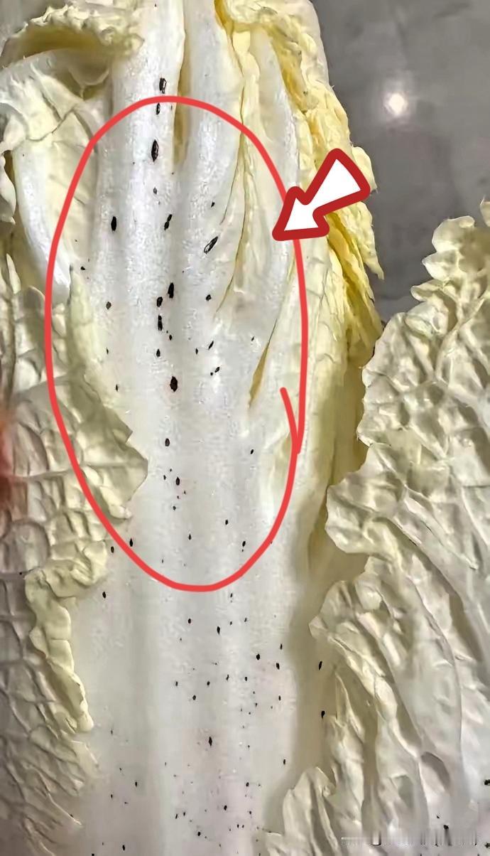 两片白菜叶带黑点，居然炸出7000多万流量！这事儿看着意外，其实早藏着平台流量的
