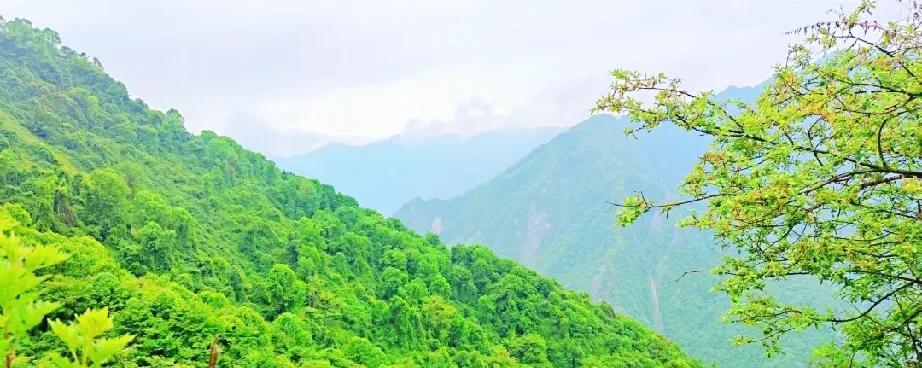 周五晚上，朋友约我去山里避暑，我果断回绝了，我不去。山里风景固然好，又解压，舒