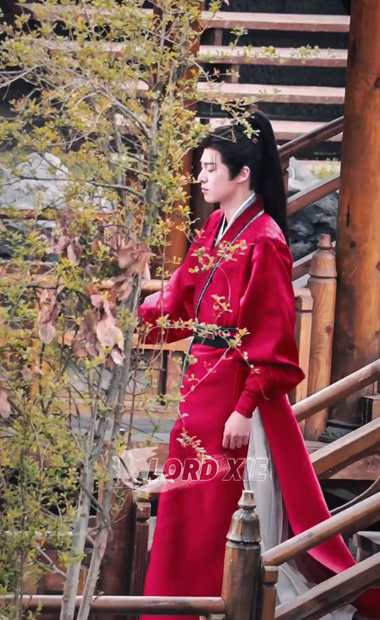 红衣少年郎谢景行王鹤棣谢景行红衣古装高马尾红衣少年郎谢景行，王鹤棣谢景行红衣