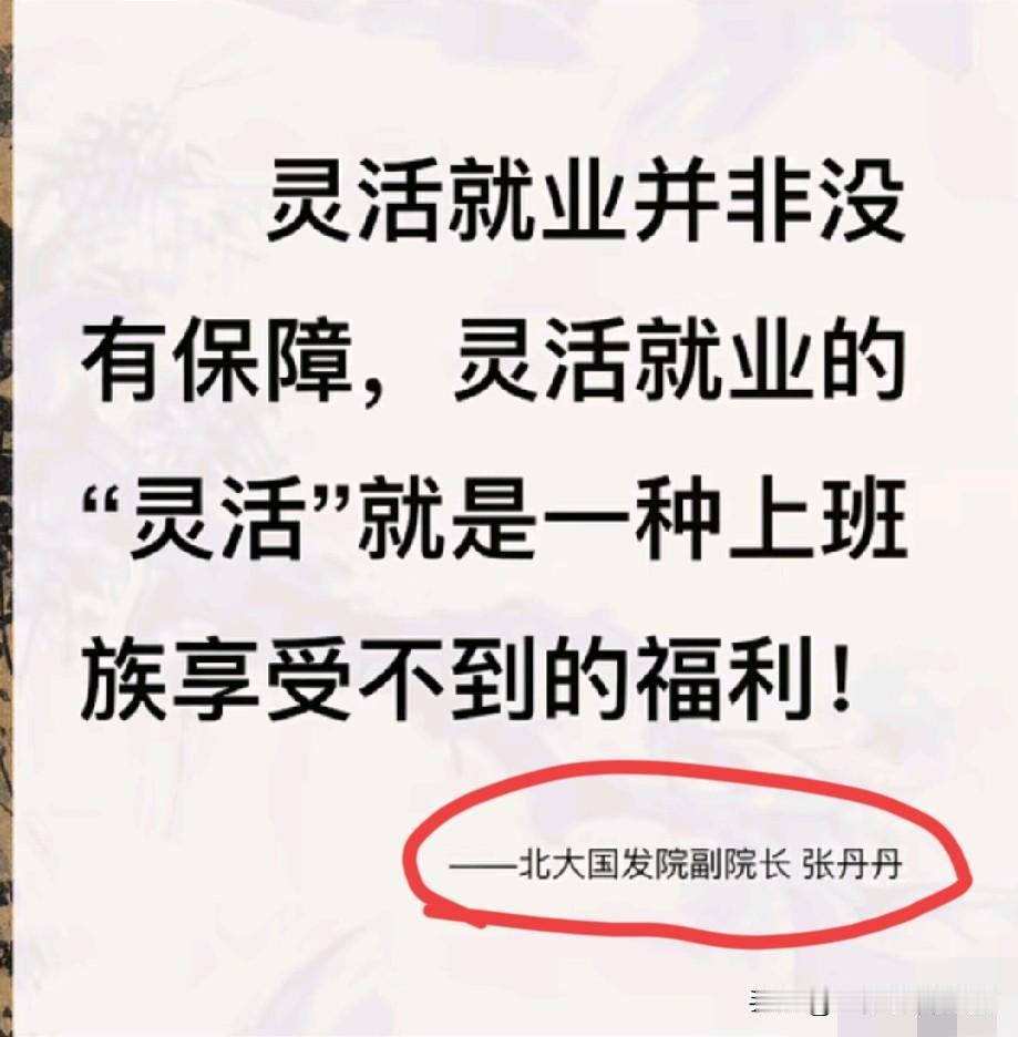 B大教授张丹丹，图片中的字幕就是他的言论，他说灵活就业，灵活本身就是福利，在访谈