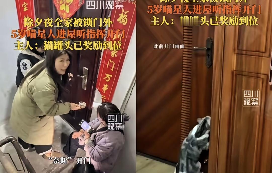 那天晚上八点多，湖北一家五口提着年货回来，门锁坏了，钥匙插不进去，喊猫名字也没反