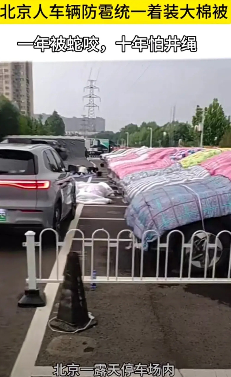 北京人车辆防雹统一着装大棉袄，车主们太可爱了吧！这波防雹操作满分，不过冰雹可能被