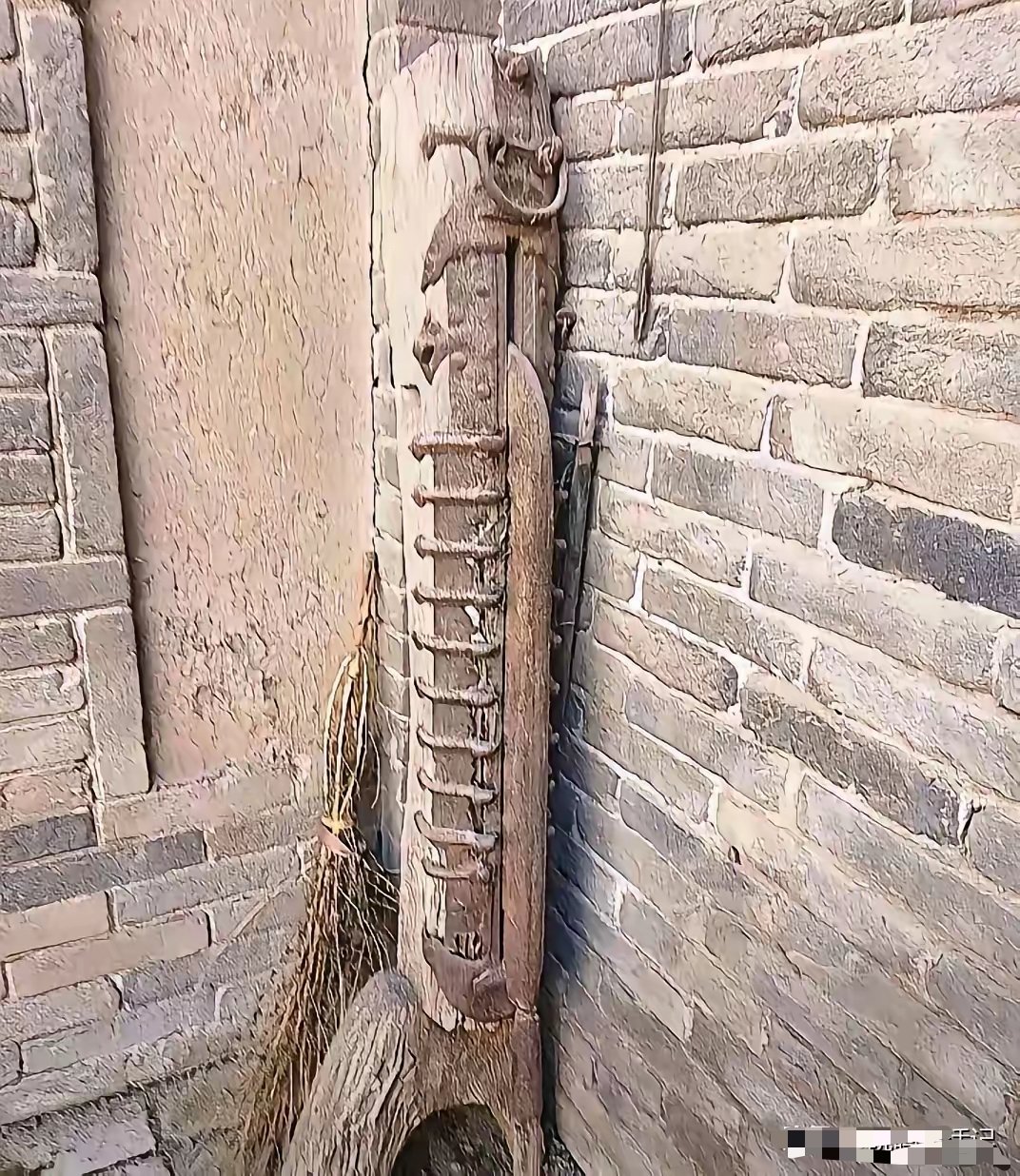 我是农村长大的，没见过这是什么