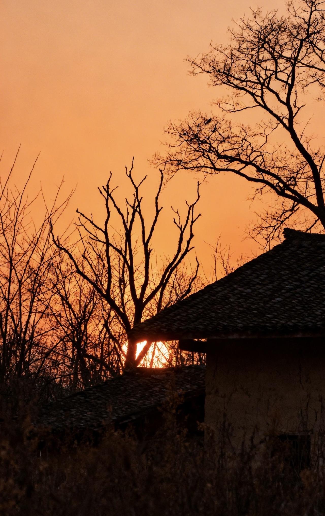 精美壁纸（705）🌈📝冬日黄昏，落日悬在天际，泼开一片温柔的暖橙光晕。远处