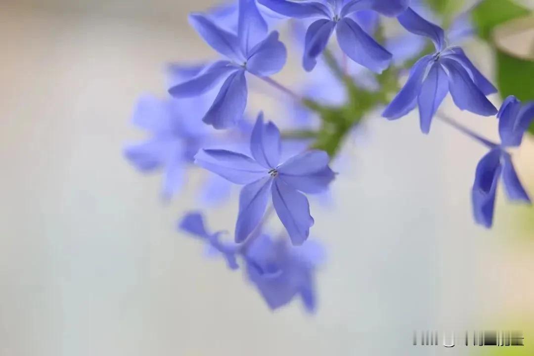夫妻管钱最好的模式：大钱一起挣，小钱各自花夫妻之间管钱这事儿，其实特简单