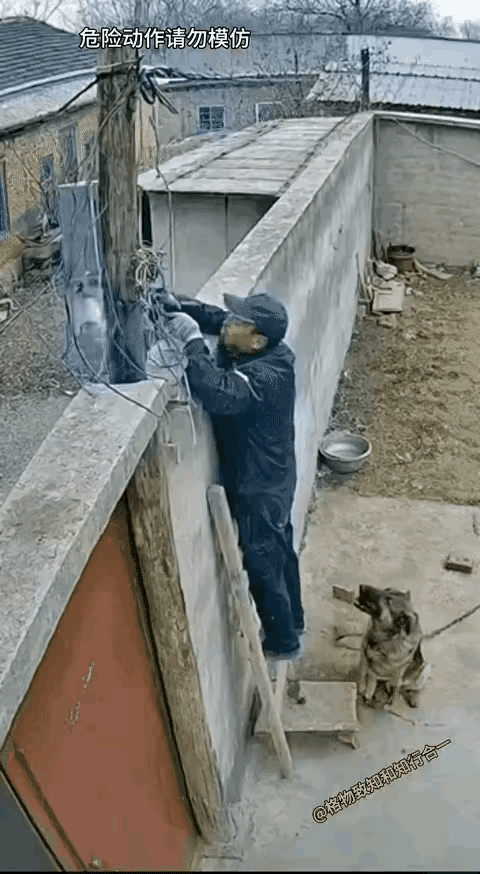 真没白养啊，太给力了！男子在梯子上修电路，完全没有注意到木柱后面的电箱冒火花，就