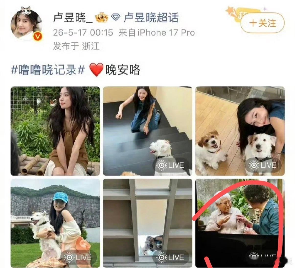 还以为什么事呢，原来就是发微博带了一张电影院照片，盗摄并不是法律上的用语，你觉得
