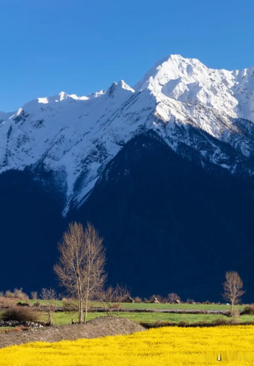 给未婚女孩的几点忠告：1、没结婚之前，最好不要同居，最怕未婚先孕，男人又不和