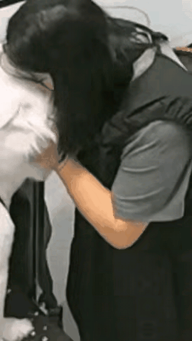 再温顺的宠物，也别忘了它骨子里还是动物真的要提醒所有养狗人，别因为平时跟