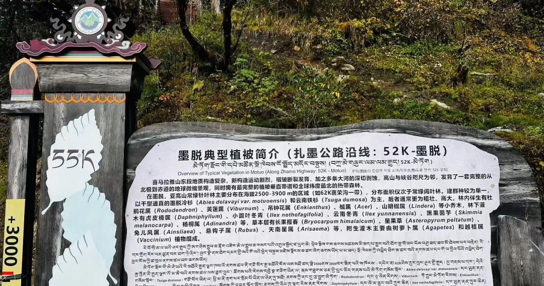 西藏5日自驾，每一程都是心之向往📸终于完成人生清单TOP1：西藏自驾