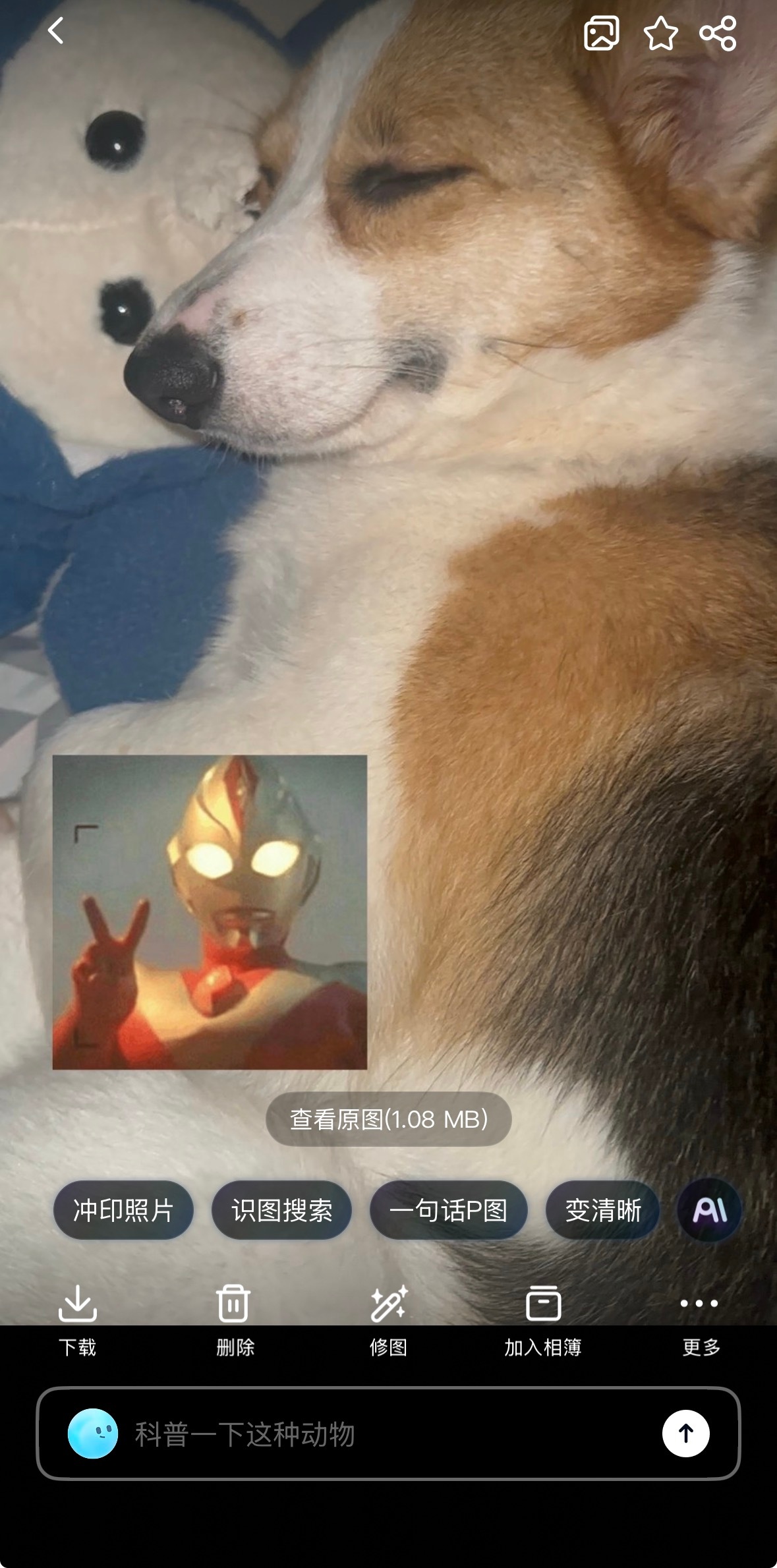 闺蜜你有点享受喔已经能想象到如图的样子了🫰