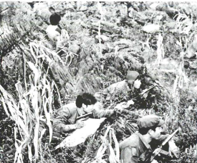 1979年我军抓“舌头”败例：伤亡15人未成功，究竟发生了什么？1月23日，