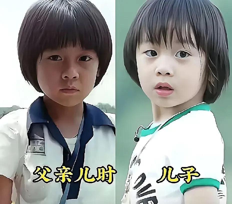 林志颖和儿子最像啦！其他大部分和爸爸都不是很像哦你们觉的呢？