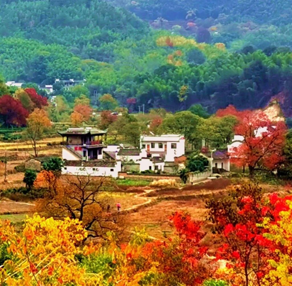 徽州古村落——塔川塔川，它是一个以秋色红叶和徽派建筑而闻名的古村落，被誉为“