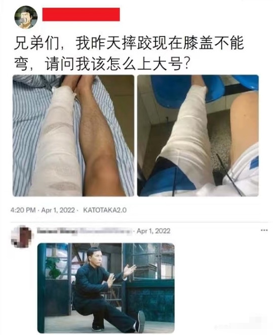 网友给的建议太绝