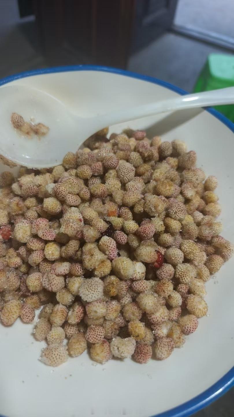 这是啥，有几个人还知道