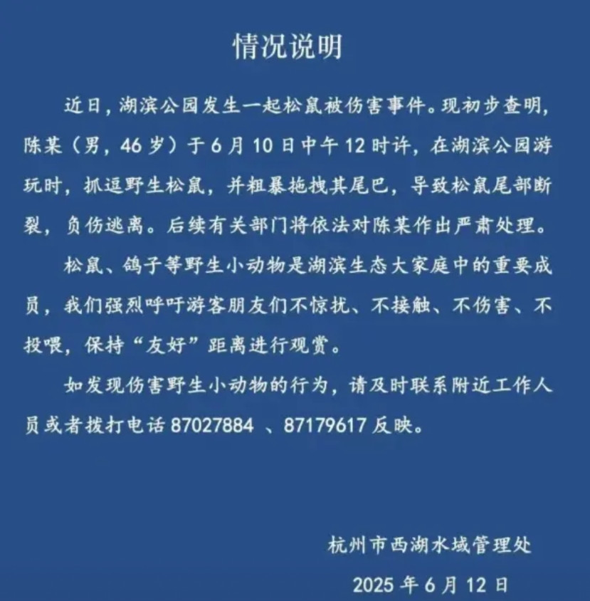 46岁男子粗暴拽断松鼠尾巴，严肃处理！杭州当地最新通报6月12日，杭州市西湖水