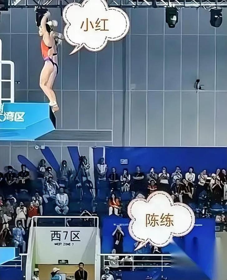 全红婵比赛完没找陈若琳？不是关系差，是陈若琳“故意”的。第十五届全运，陈