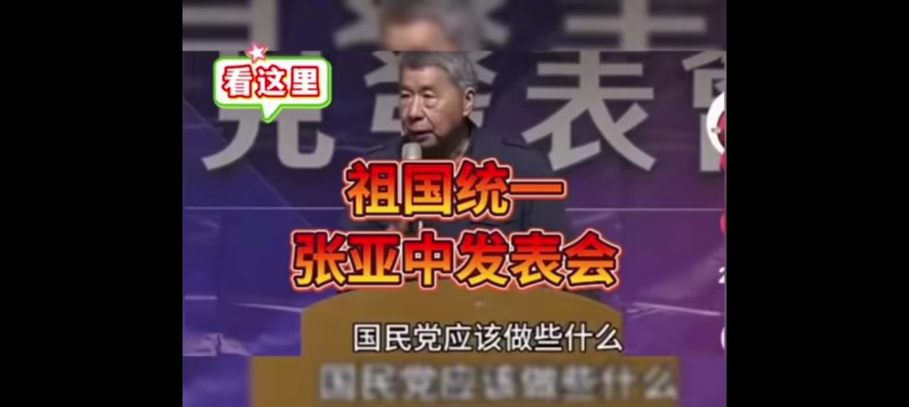 在国家大义面前，张亚中至少知道做点什么。国民党到了最后时刻，党纲终极统一。可