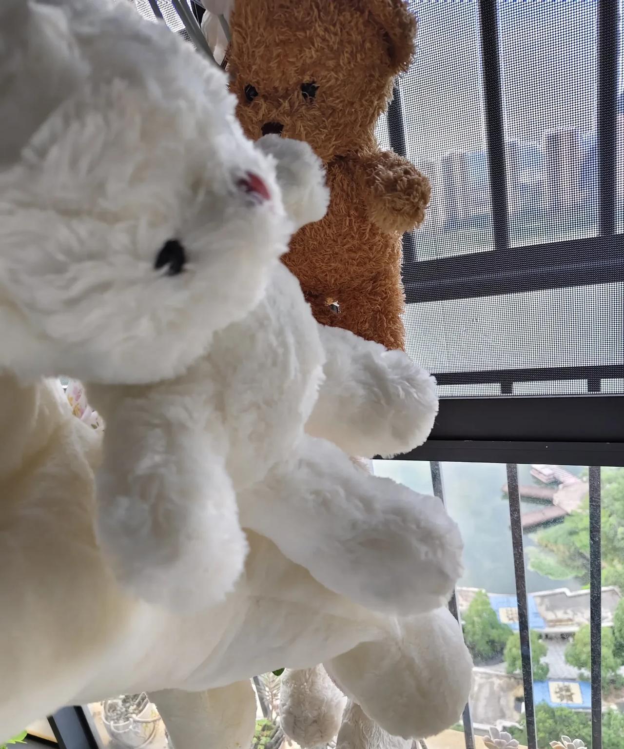 突然想起来，例假过了18天没有来了。这段时间儿子高考，怎么就忙晕头了。把这件事情
