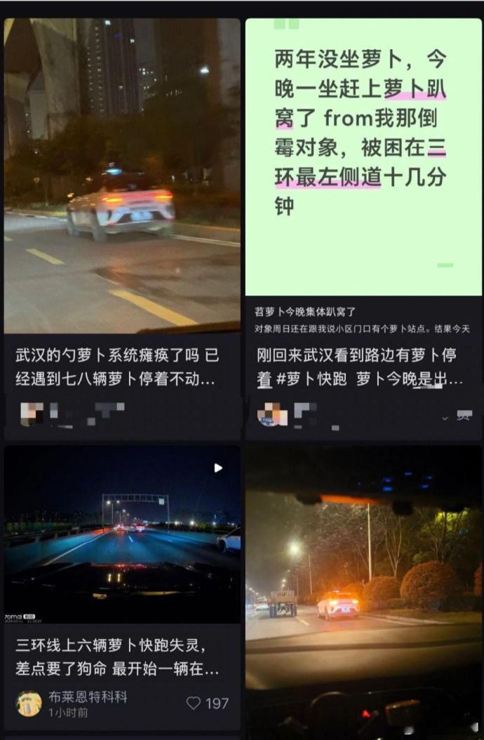 萝卜快跑已经停运两个多月了大V聊车从3月31日晚，武汉全城大规模系统趴窝