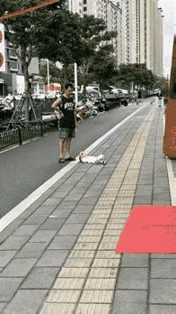 有其父必有其子