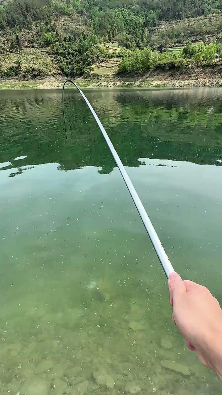 钓鱼圈都懂，能拿下四十斤级别的巨物，含金量真的不低🐟。不是随便碰碰运气，背后是无数次早起守钓、摸清