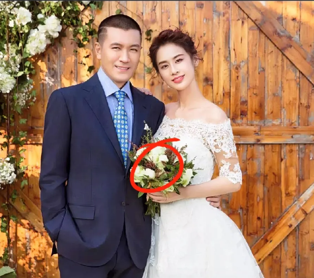 杨子估计心都凉了，万万没想到，他和黄圣依17年的夫妻生活却没有换来对方感情的认