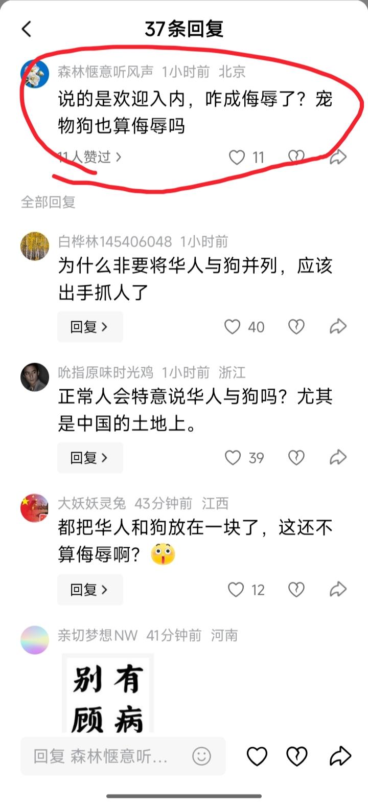 评论区里的它，就是一头狗……