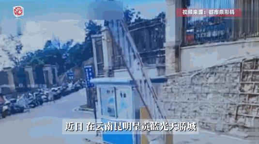 “离了个大谱！”近日，云南昆明，一女子为了逃避5块钱的停车费，竟在前方的车辆通过
