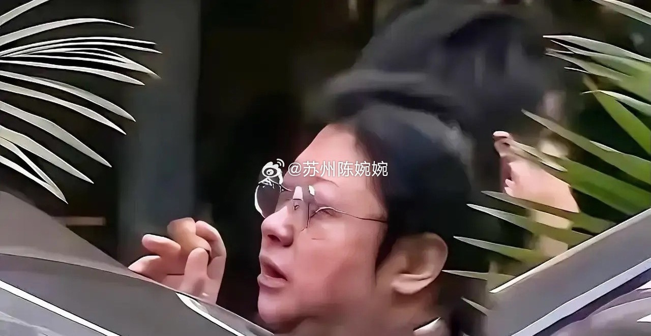 不得不说网友是真的懂韩红！连7月18号武汉演唱会的名场面都给精准摸透了，从神态、