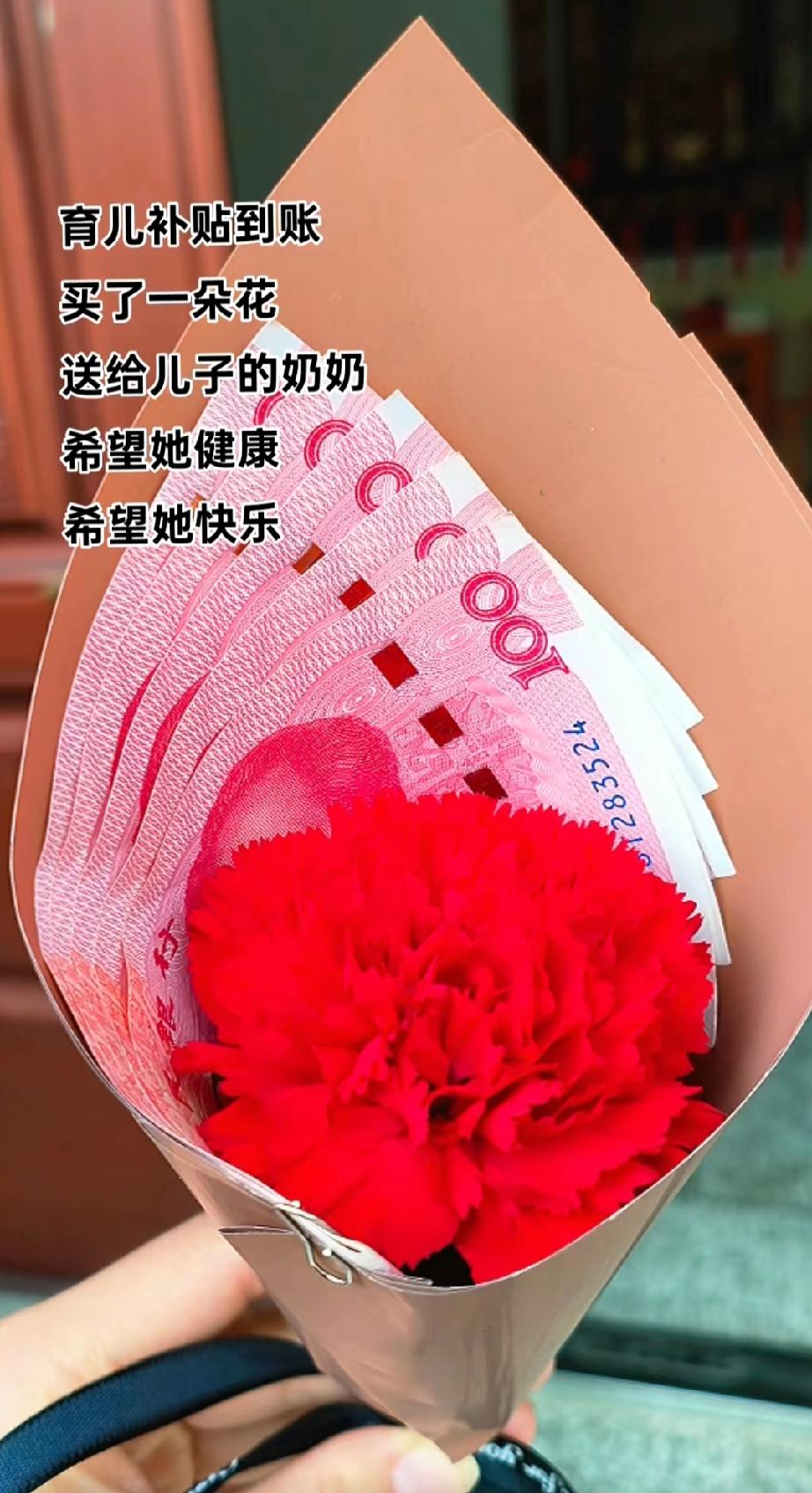 育儿补贴下来了，分婆婆五百，感谢婆婆的付出。我可干不出这种事，育儿补贴谁也不给，