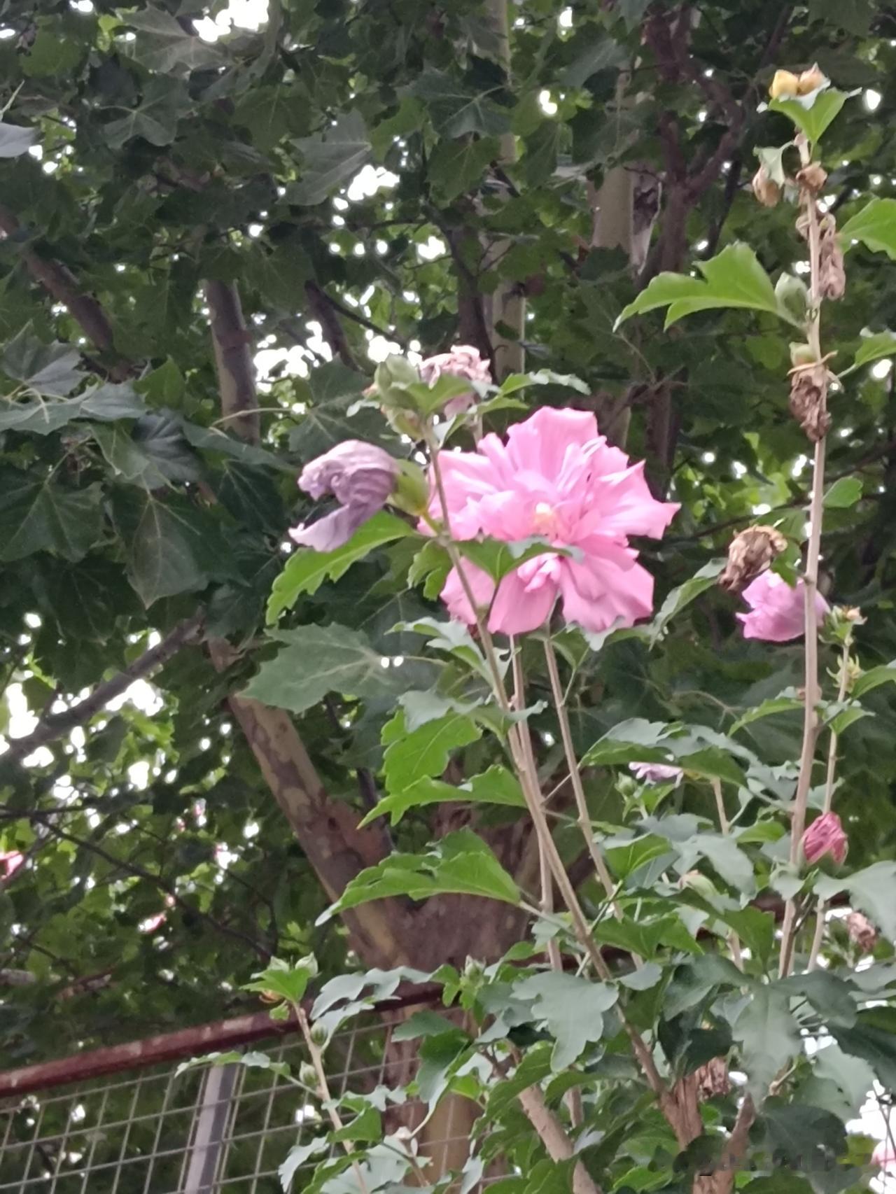 两性关系啊，就扒光了给你看，就这22个赤裸裸的真相，你要是不信你可以来反驳我。