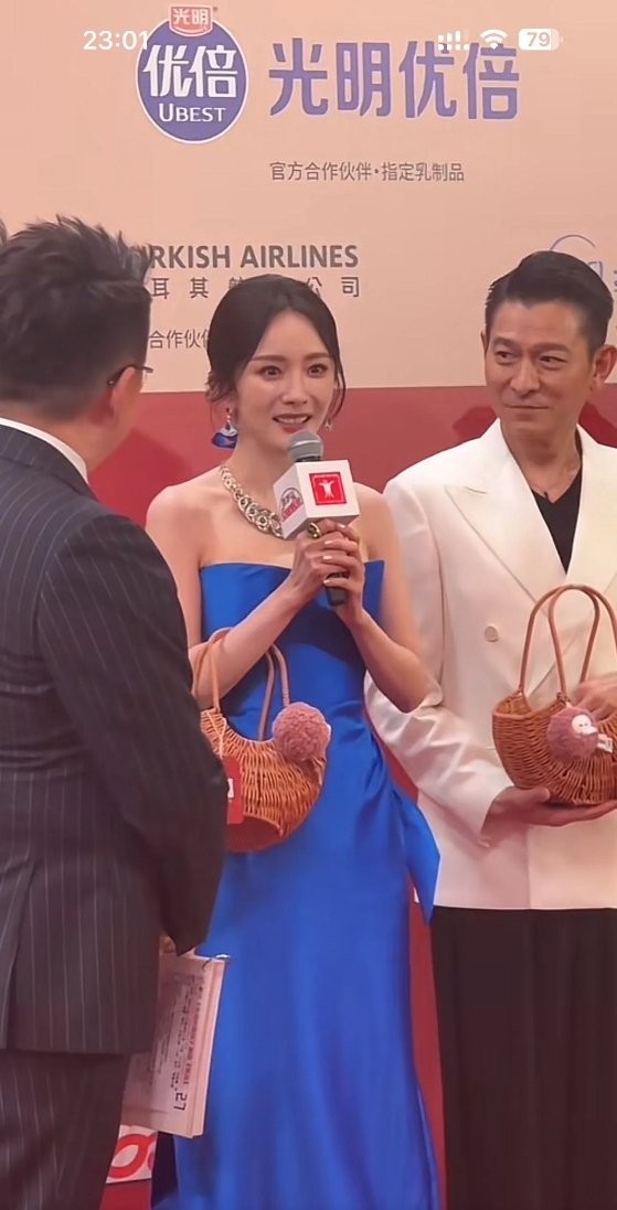 烦死了我也要牵手刘德华先生​