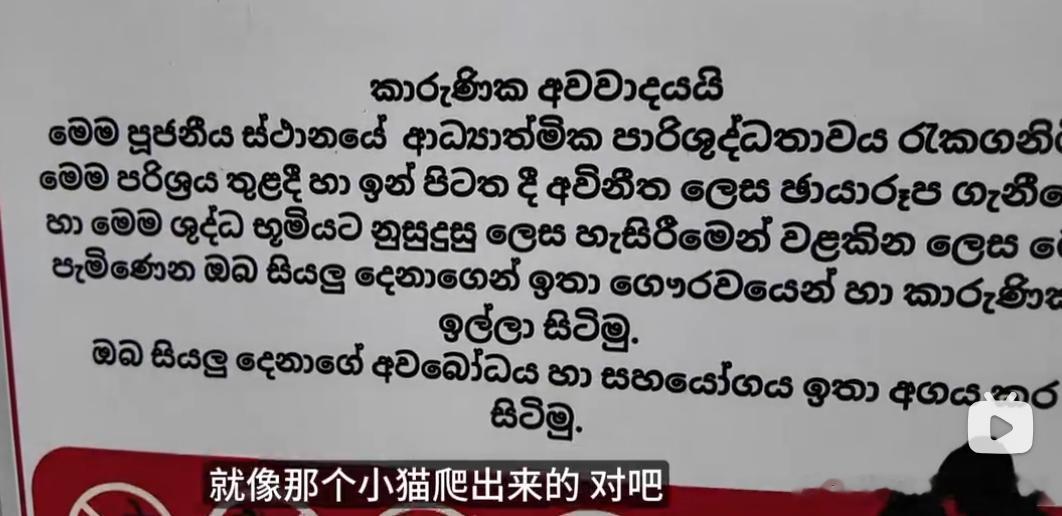 斯里兰卡的文字真的挺像一群小动物，可爱捏