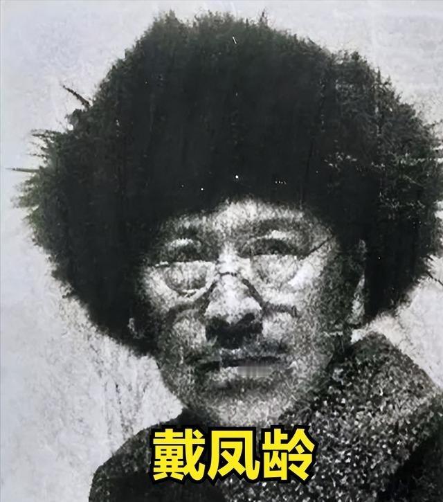 1931年东北沦陷，60岁的土地财主戴凤龄为了打鬼子，变卖掉所有家产，带着全家5