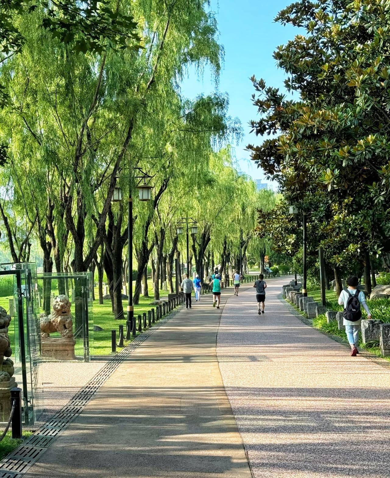 跑步，最难的是其实是起始阶段，熬过来了，就会有不一样的收获。跑步的朋友，你处在哪