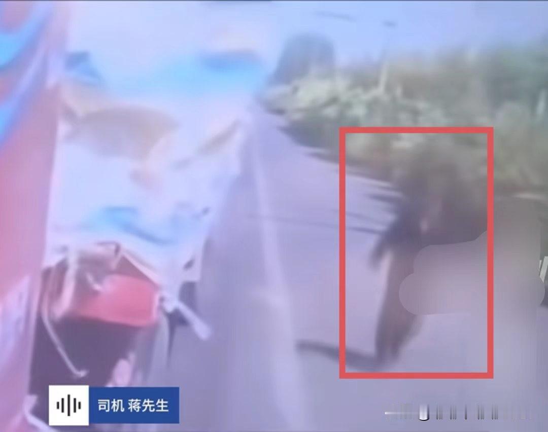 幸亏有监控，不然一个好心人又要被冤枉死了！5月31日，货车司机蒋先生在河北唐