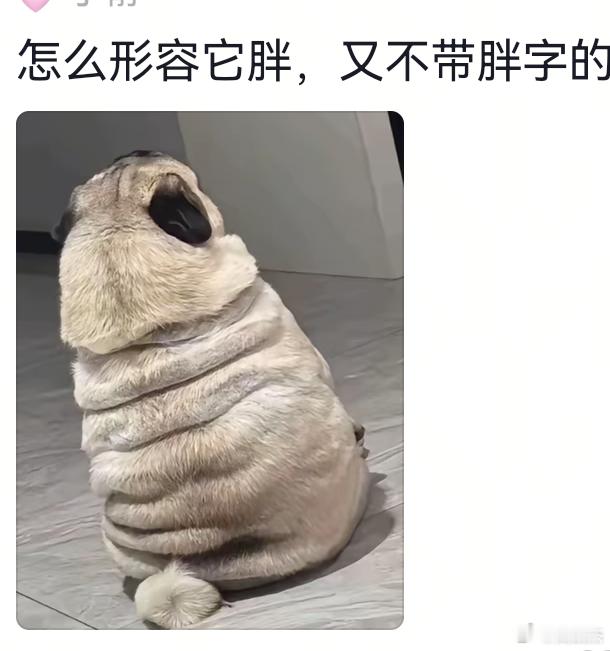 不带胖字，如何形容它胖？