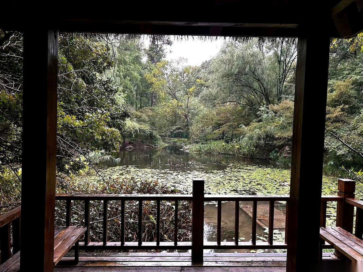 都说日本房价崩了三十年，跟讲神话似的。我今天才知道，东京的房价，已经干翻了19