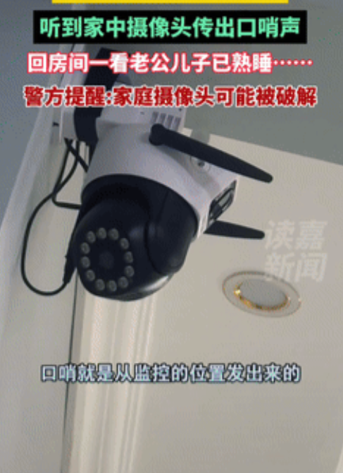 真是服了！江苏，女子家因为养猫，在屋里安装了监控，不料半夜她穿着睡衣查看猫咪时，