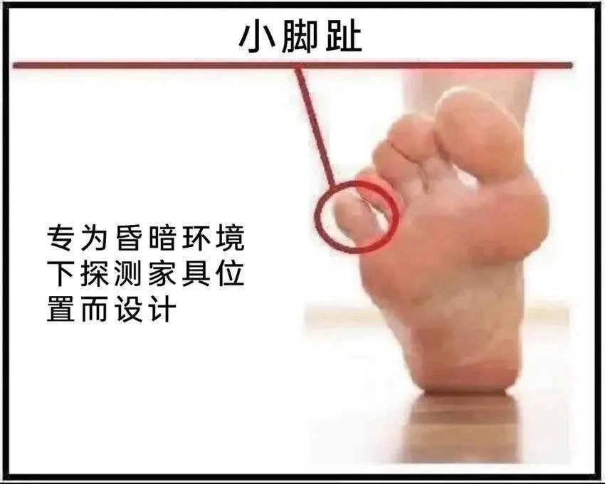 谢谢你