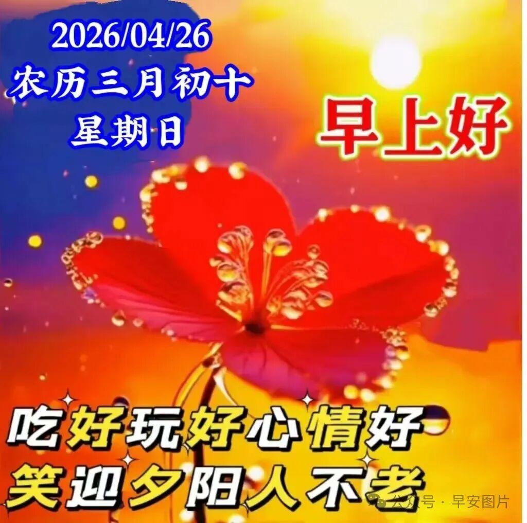 用一种顺其自然的心态去面对生活的起起落落，享受那种随遇而安的惬意与自在。周末到了